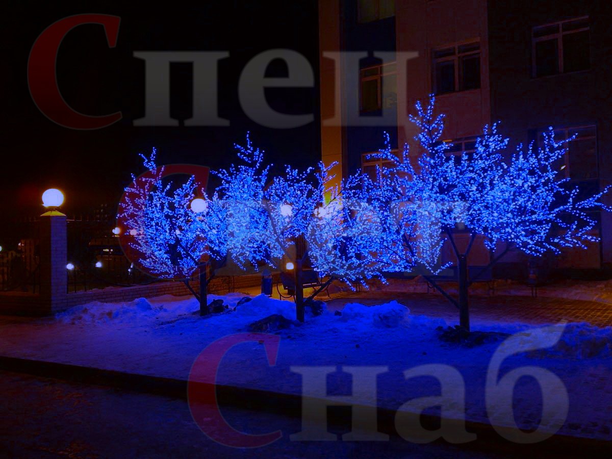 сакура синяя